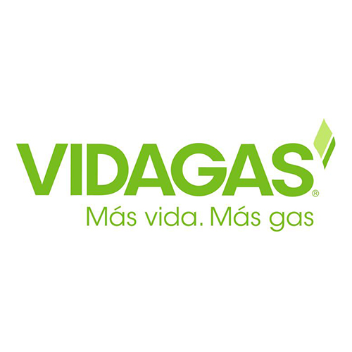 Vidagas